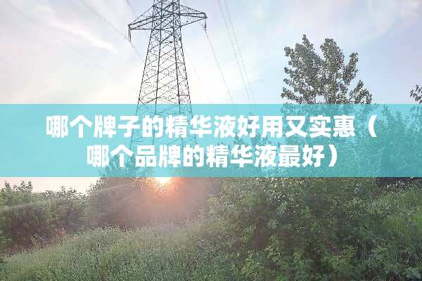 哪个牌子的***好用又实惠（哪个品牌的***最好）
