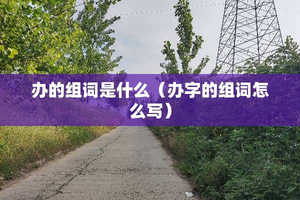 办的组词是什么（办字的组词怎么写）