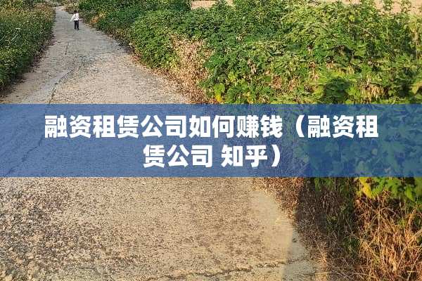融资租赁公司如何赚钱（融资租赁公司 知乎）