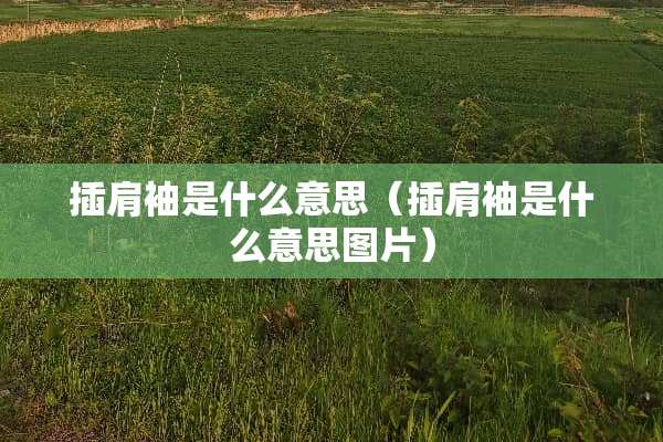 插肩袖是什么意思（插肩袖是什么意思图片）