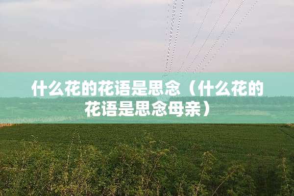 什么花的花语是思念（什么花的花语是思念母亲）