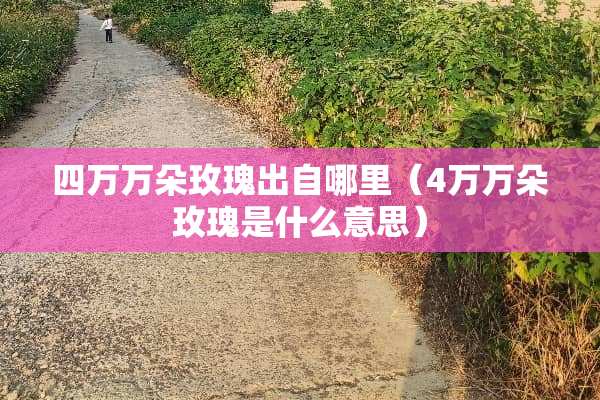 四万万朵玫瑰出自哪里（4万万朵玫瑰是什么意思）
