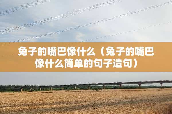兔子的嘴巴像什么（兔子的嘴巴像什么简单的句子造句）