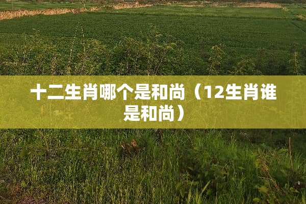 十二生肖哪个是和尚（12生肖谁是和尚）