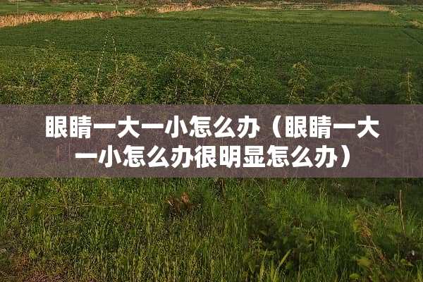 眼睛一大一小怎么办（眼睛一大一小怎么办很明显怎么办）