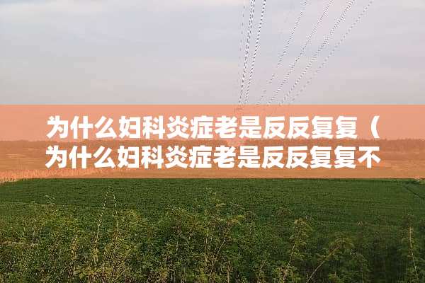 为什么妇科炎症老是反反复复（为什么妇科炎症老是反反复复不好）