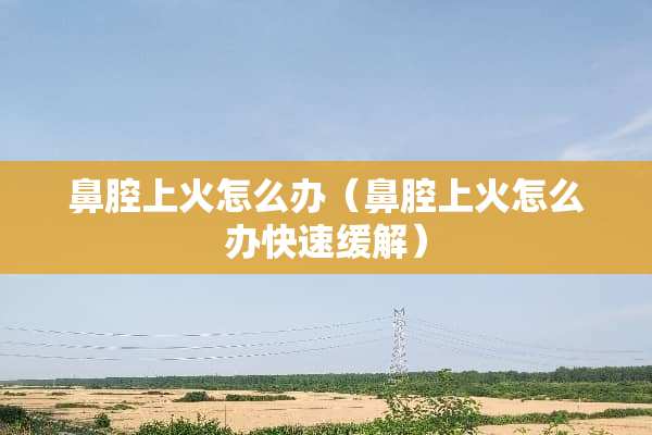 鼻腔上火怎么办（鼻腔上火怎么办快速缓解）