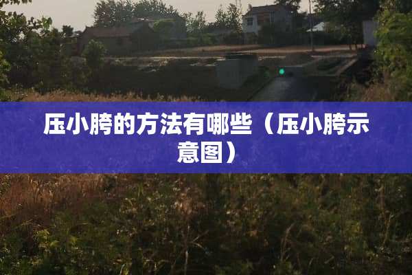 压小胯的方法有哪些（压小胯示意图）