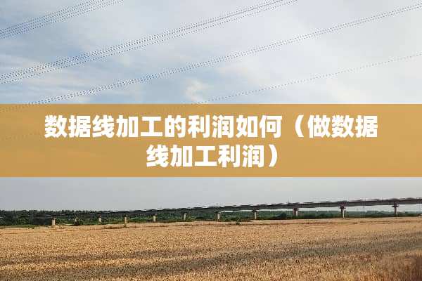 数据线加工的利润如何（做数据线加工利润）