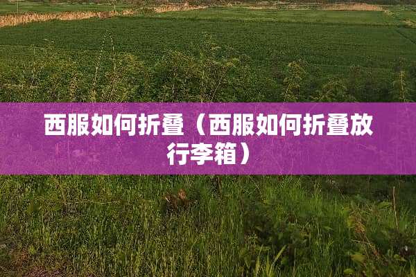 西服如何折叠（西服如何折叠放行李箱）