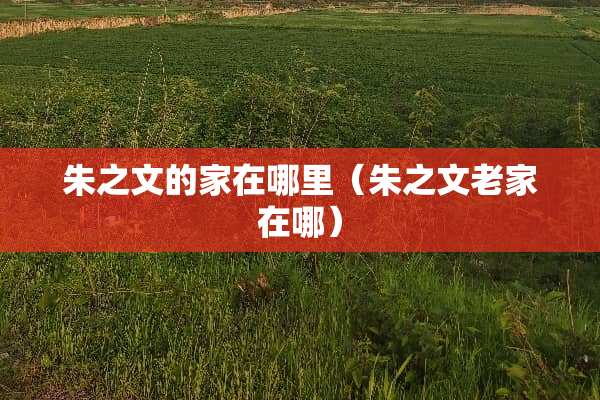 朱之文的家在哪里（朱之文老家在哪）