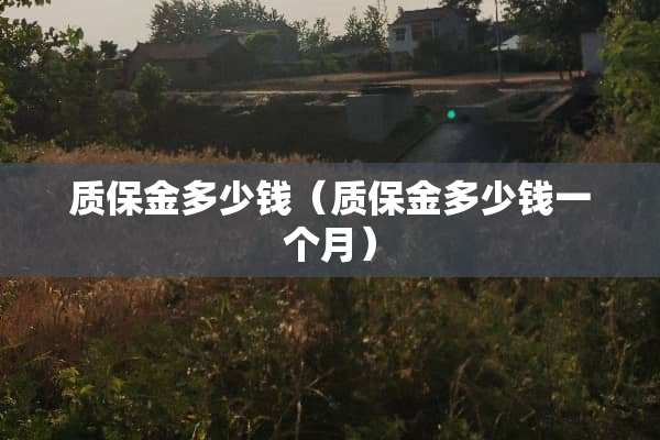 质保金多少钱（质保金多少钱一个月）