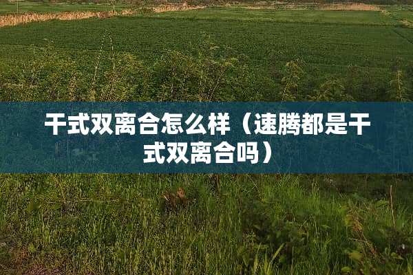 干式双离合怎么样（速腾都是干式双离合吗）