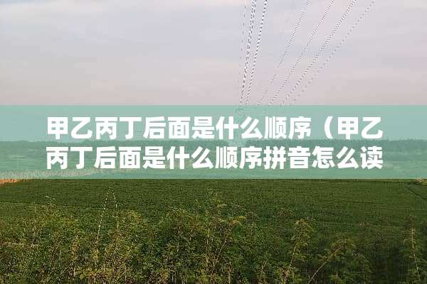 甲乙丙丁后面是什么顺序（甲乙丙丁后面是什么顺序拼音怎么读）