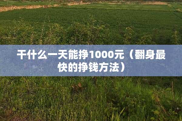 干什么一天能挣1000元（翻身最快的挣钱方法）