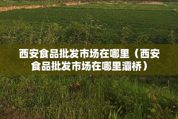 西安食品批发市场在哪里（西安食品批发市场在哪里灞桥）