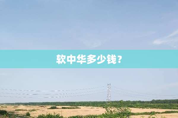 软中华多少钱？