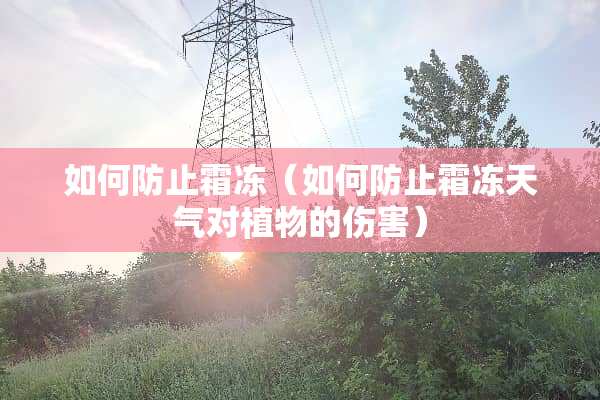 如何防止霜冻（如何防止霜冻天气对植物的伤害）