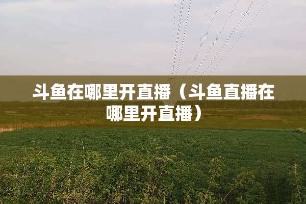 斗鱼在哪里开直播（斗鱼直播在哪里开直播）