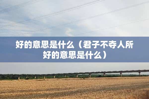 好的意思是什么（君子不夺人所好的意思是什么）