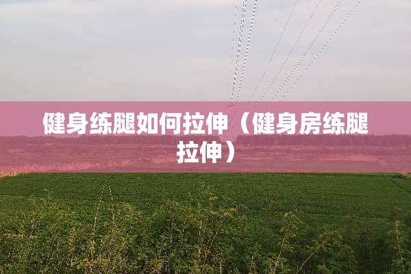 健身练腿如何拉伸（健身房练腿拉伸）