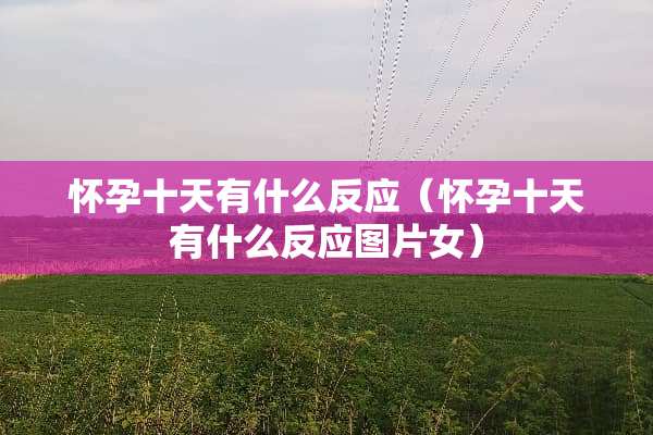 怀孕十天有什么反应（怀孕十天有什么反应图片女）
