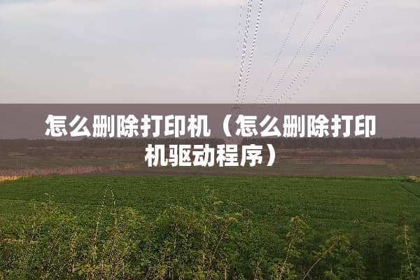 怎么删除打印机（怎么删除打印机驱动程序）