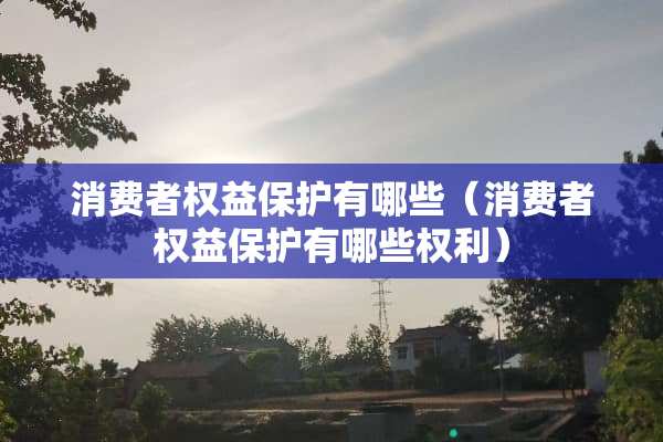 消费者权益保护有哪些（消费者权益保护有哪些权利）