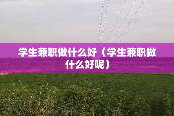 学生兼职做什么好（学生兼职做什么好呢）