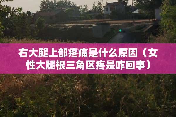 右大腿上部疼痛是什么原因（女性大腿根三角区疼是咋回事）