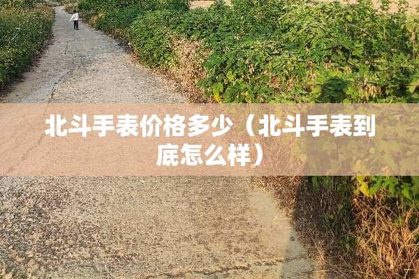 北斗手表价格多少（北斗手表到底怎么样）