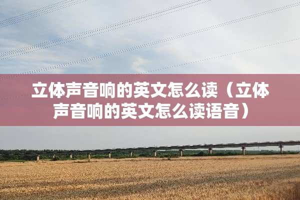 立体声音响的英文怎么读（立体声音响的英文怎么读语音）