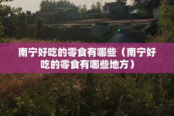 南宁好吃的零食有哪些（南宁好吃的零食有哪些地方）