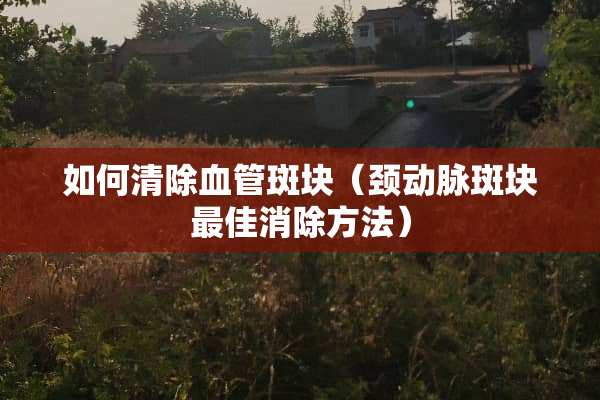 如何清除血管斑块（颈动脉斑块最佳消除方法）