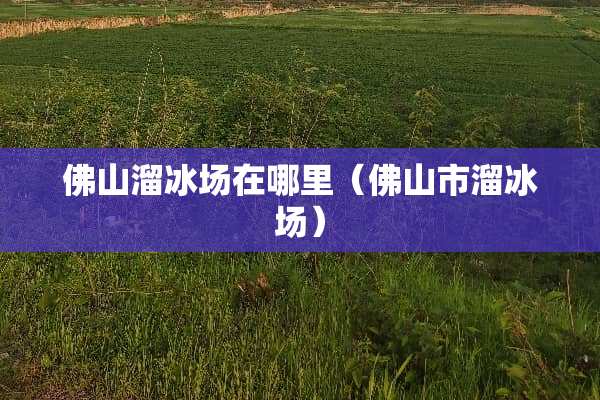 佛山溜冰场在哪里（佛山市溜冰场）