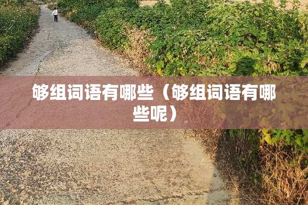 够组词语有哪些（够组词语有哪些呢）