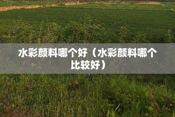 水彩颜料哪个好（水彩颜料哪个比较好）