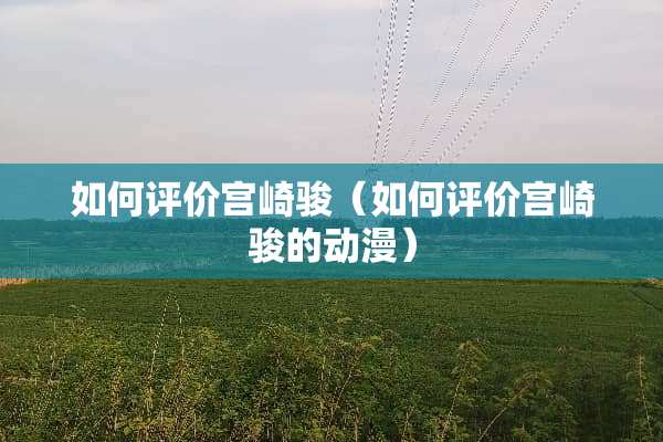 如何评价宫崎骏（如何评价宫崎骏的动漫）