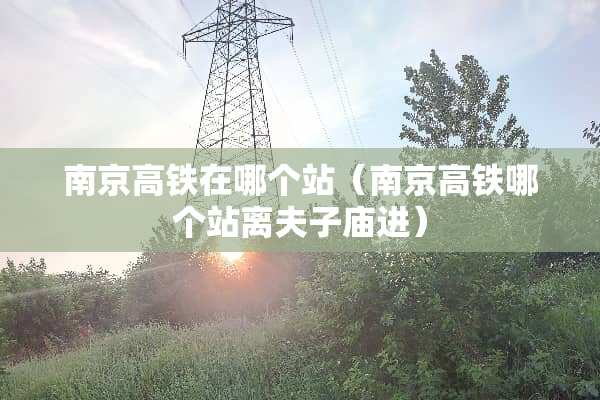 南京高铁在哪个站（南京高铁哪个站离夫子庙进）
