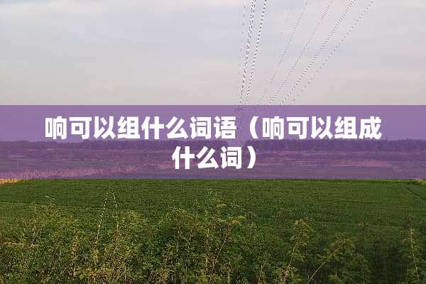 响可以组什么词语（响可以组成什么词）