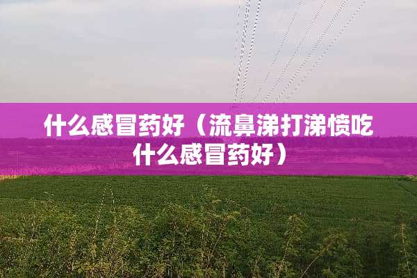 什么感冒药好（流鼻涕打涕愤吃什么感冒药好）