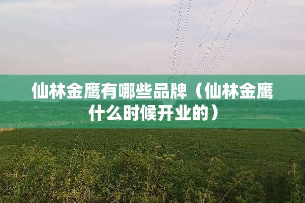 仙林金鹰有哪些品牌（仙林金鹰什么时候开业的）