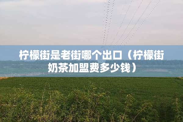 柠檬街是老街哪个出口（柠檬街奶茶加盟费多少钱）