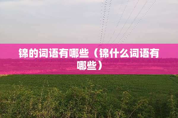 锦的词语有哪些（锦什么词语有哪些）