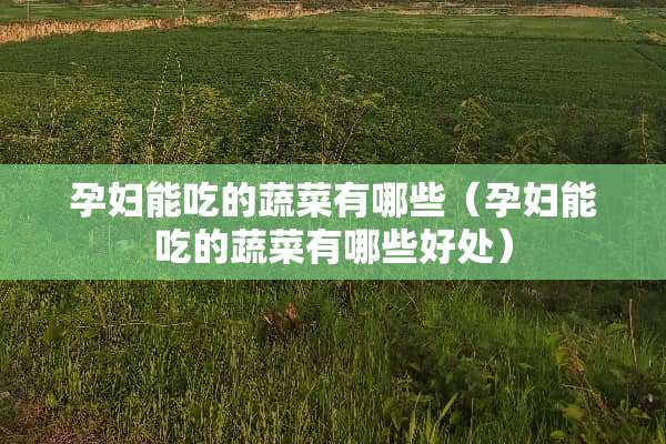 孕妇能吃的蔬菜有哪些（孕妇能吃的蔬菜有哪些好处）
