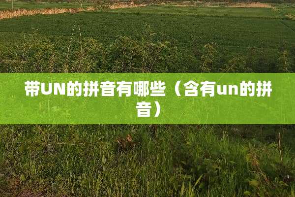 带UN的拼音有哪些（含有un的拼音）