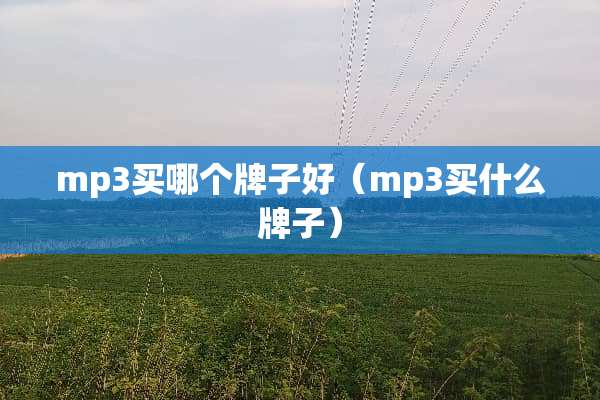 mp3买哪个牌子好（mp3买什么牌子）