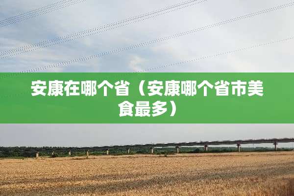 安康在哪个省（安康哪个省市美食最多）