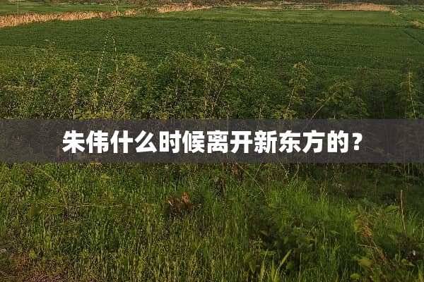 朱伟什么时候离开新东方的？