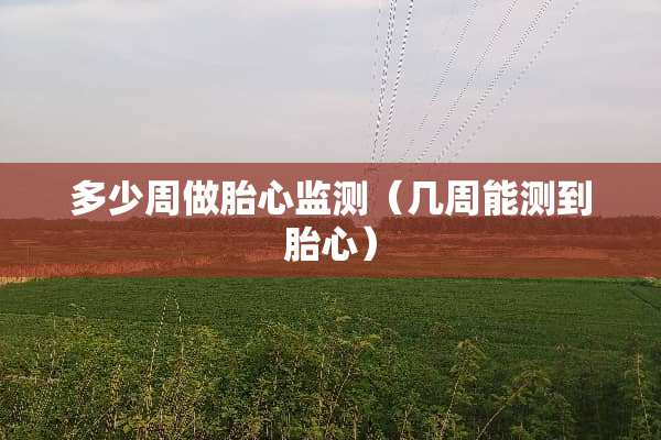 多少周做胎心监测（几周能测到胎心）